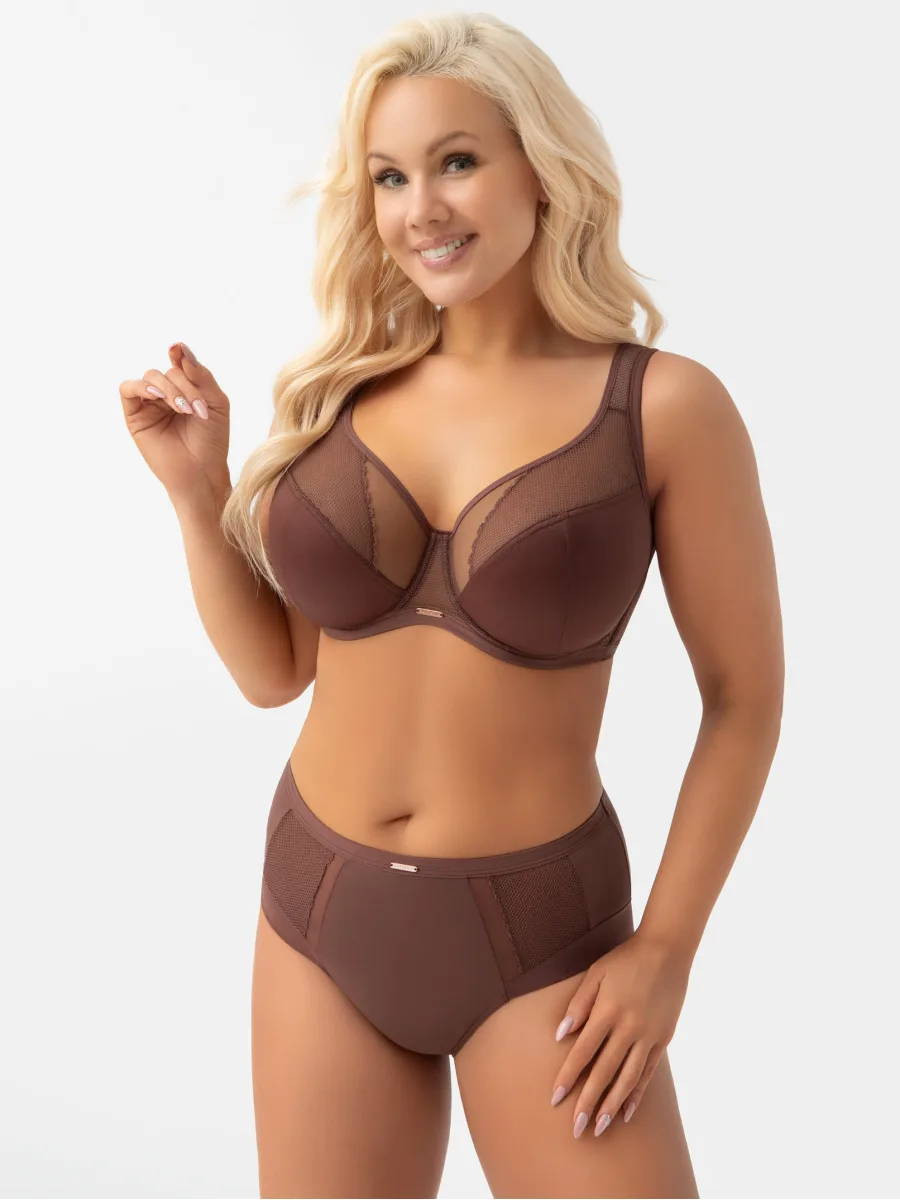 Chocolate Mesh High Waist Briefs Gorsenia Luisse K442/1