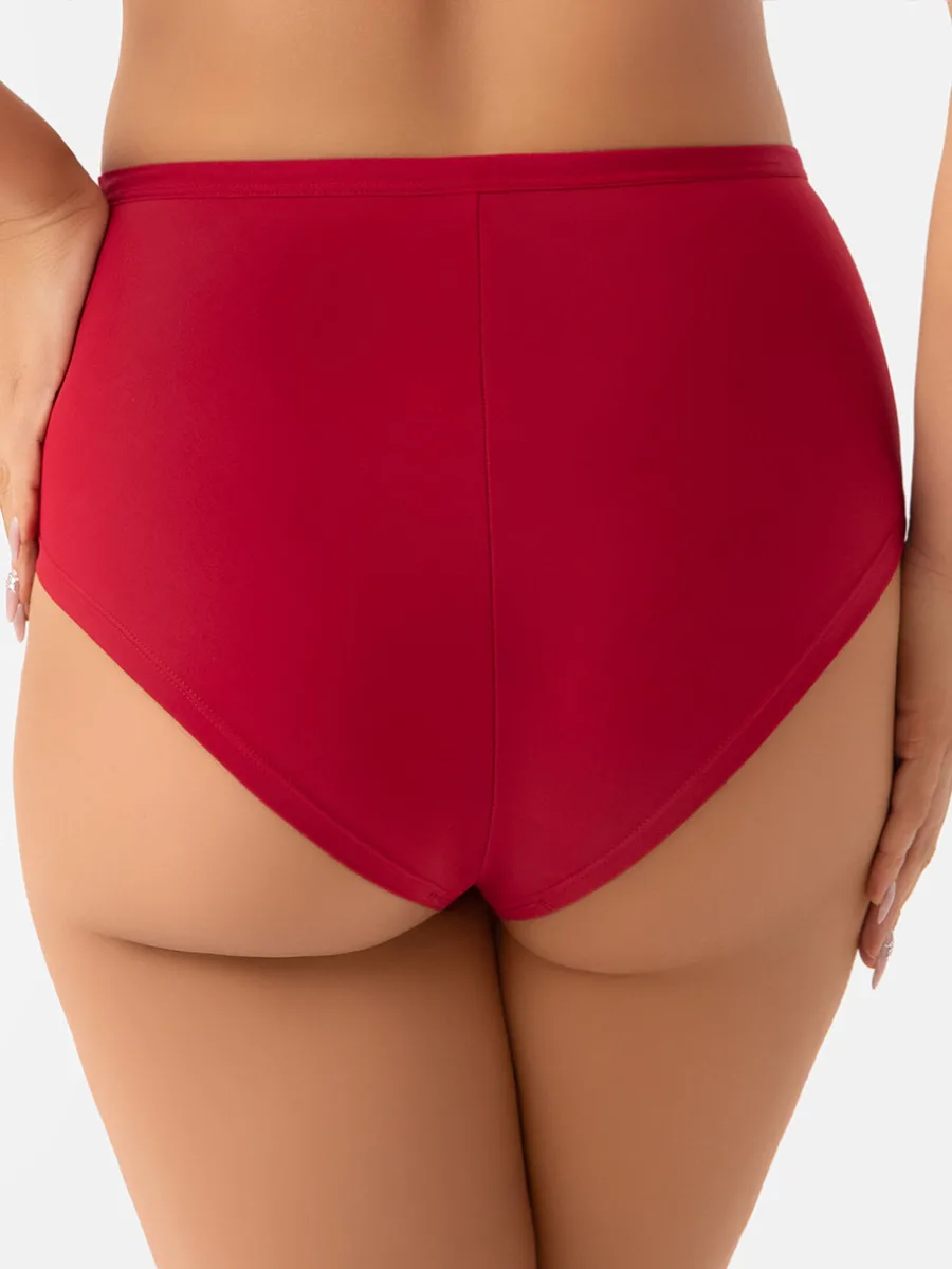 Red Lace High-Waisted Briefs Gorsenia Desire F024